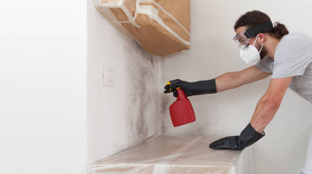 Professional Basement Mold Remediation technician working in Fairview, NY